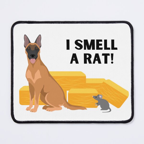 Item preview, Malinois I Smell A Rat Barn Hunt designed and sold by Mop Dog Designs.