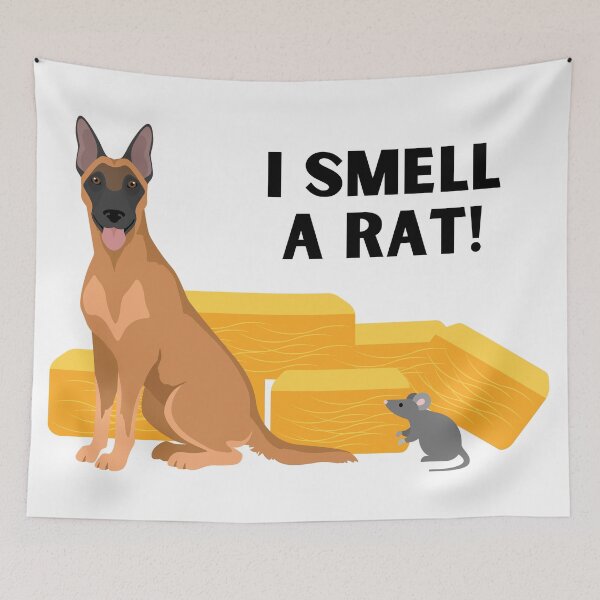 Item preview, Malinois I Smell A Rat Barn Hunt designed and sold by Mop Dog Designs.