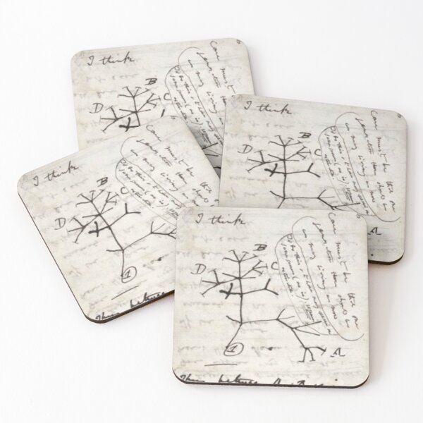 Darwin Coasters (Set of 4)