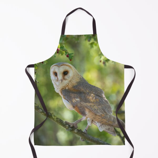 Item preview, BARN OWL designed and sold by Steve Liptrot Photography.