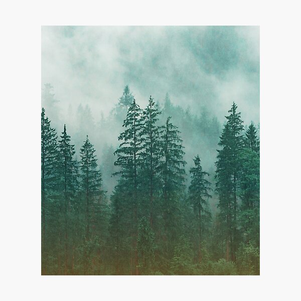 Item preview, Vintage Blue-Green Pinetrees Forest with Rising Mist designed and sold by CountyKent.