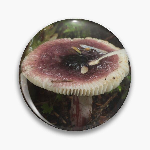 Item preview, Purple Russula in Coastal Oregon Forest designed and sold by WolfNoodles.