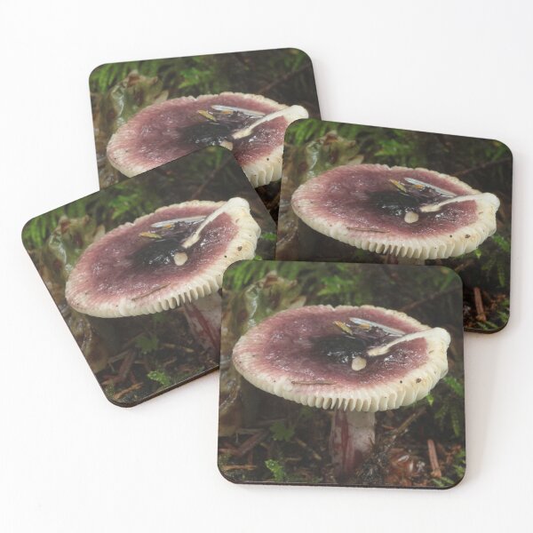 Item preview, Purple Russula in Coastal Oregon Forest designed and sold by WolfNoodles.