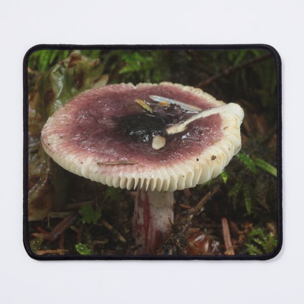 Item preview, Purple Russula in Coastal Oregon Forest designed and sold by WolfNoodles.