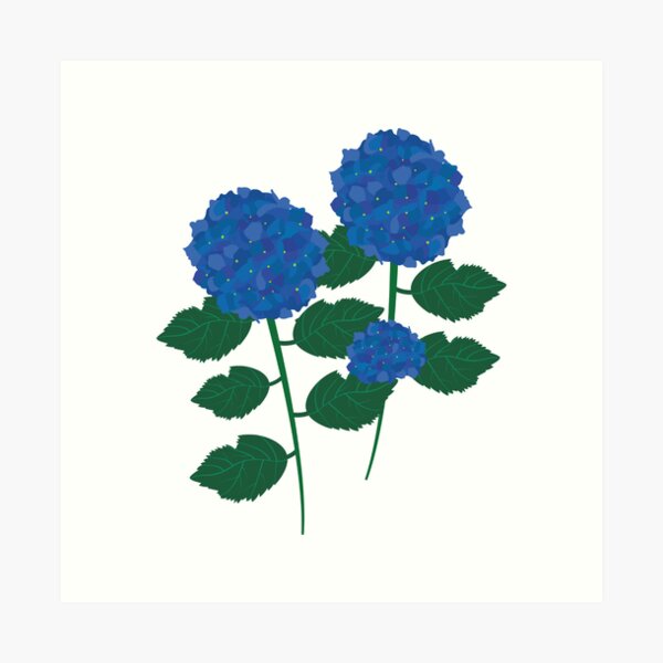 Aperçu de l'œuvre Hydrangea créée et vendue par KiValuate.