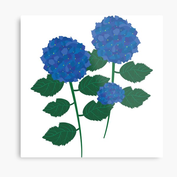 Aperçu de l'œuvre Hydrangea créée et vendue par KiValuate.