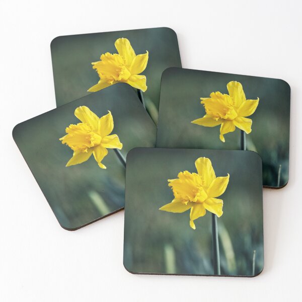 Item preview, Spring Daffodil designed and sold by Tom McPherson Photography.