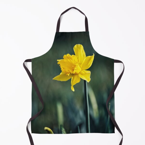 Item preview, Spring Daffodil designed and sold by Tom McPherson Photography.
