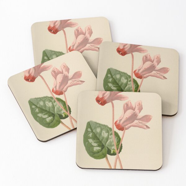 Item preview, Vintage Illustration of Cyclamen 1895 designed and sold by botanicalworks.