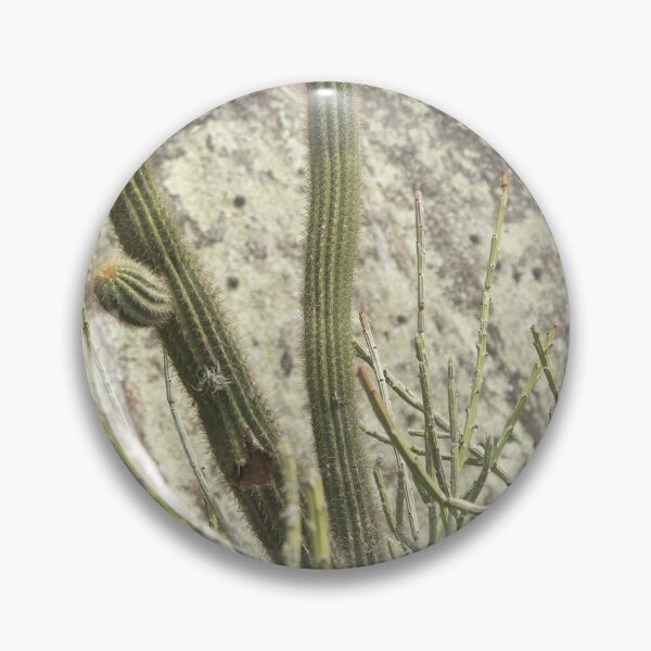Item preview, mountain cacti designed and sold by felipequeiroz.