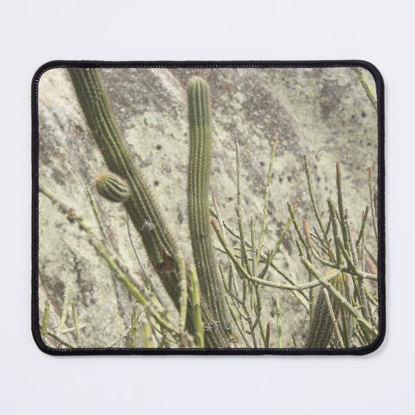 Item preview, mountain cacti designed and sold by felipequeiroz.