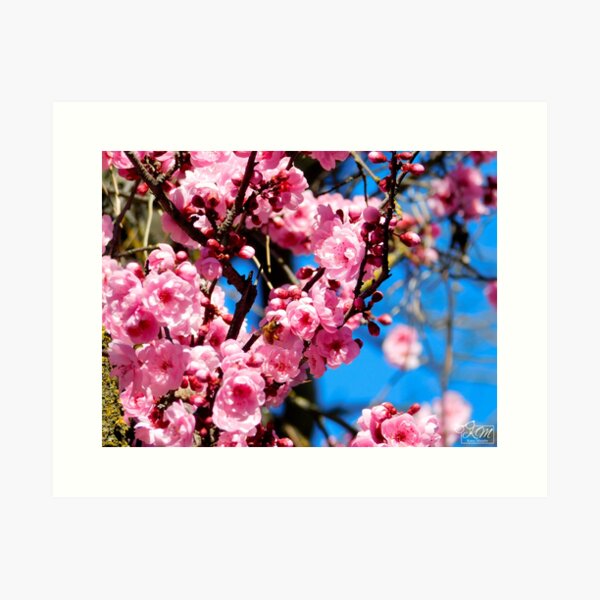 Item preview, Bumble Bee and Plum Blossoms 1 designed and sold by KateyMurphy.