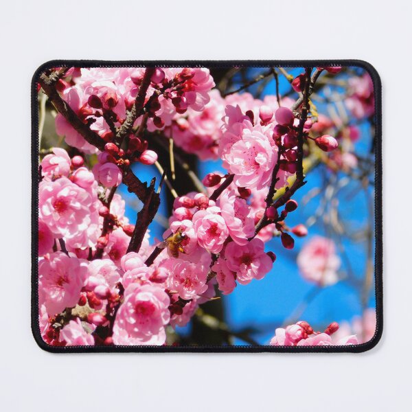 Item preview, Bumble Bee and Plum Blossoms 1 designed and sold by KateyMurphy.