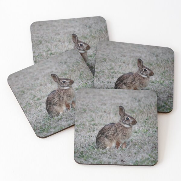 Item preview, Brown Bunny designed and sold by Cynthia48.