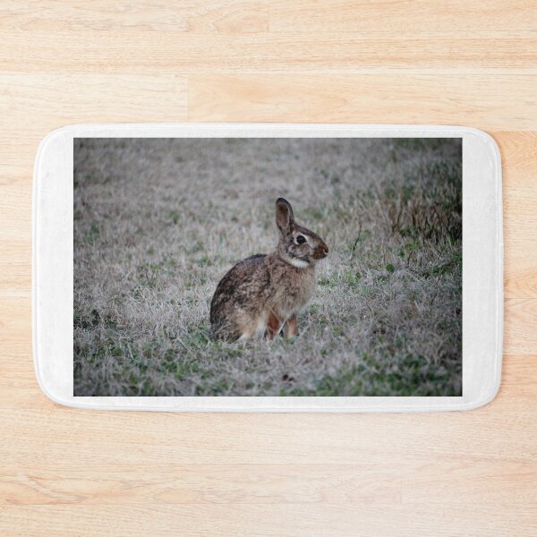 Item preview, Brown Bunny designed and sold by Cynthia48.