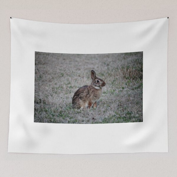 Item preview, Brown Bunny designed and sold by Cynthia48.