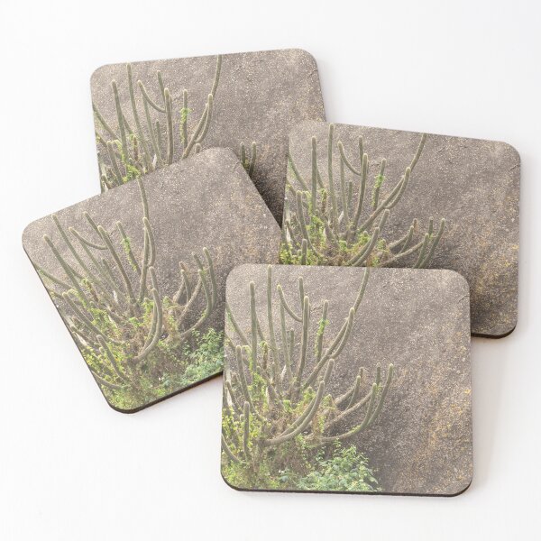 Item preview, cacti on the mountain designed and sold by felipequeiroz.