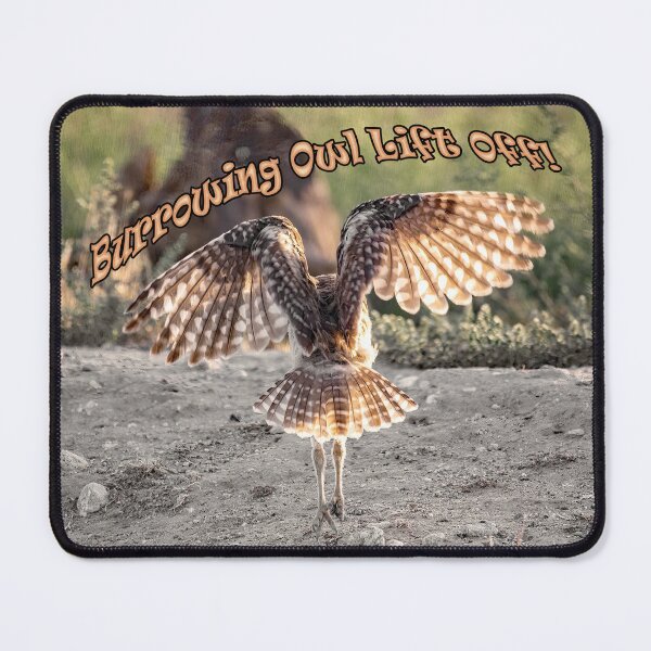 Item preview, Burrowing Owl Lift Off designed and sold by CarolM.