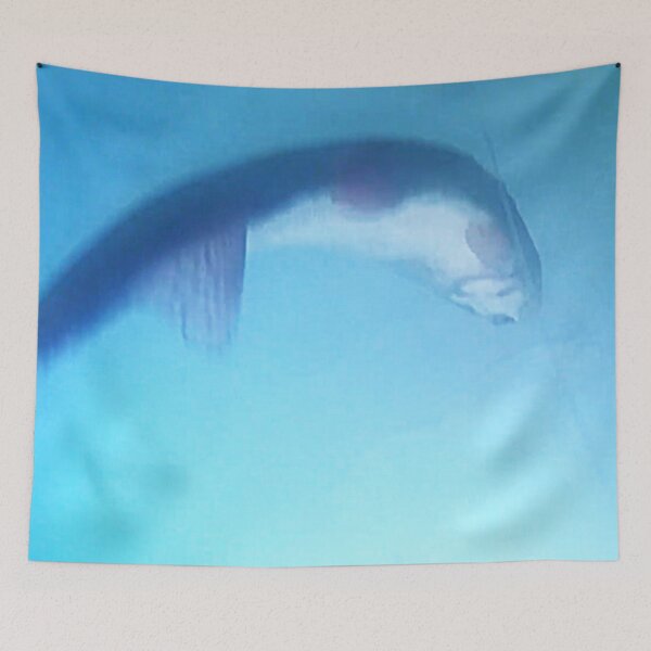 Item preview, Underwater Trout Underside  designed and sold by CJRPics.
