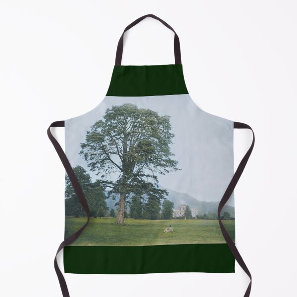 Item preview, An English lawn designed and sold by 19th Century in Color.
