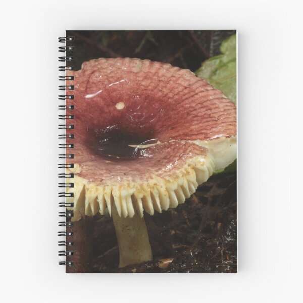 Item preview, Deep Red Russula designed and sold by WolfNoodles.