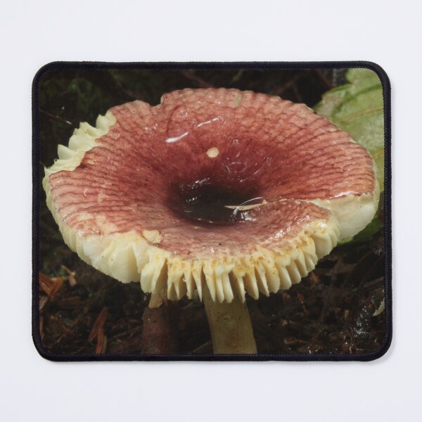 Item preview, Deep Red Russula designed and sold by WolfNoodles.