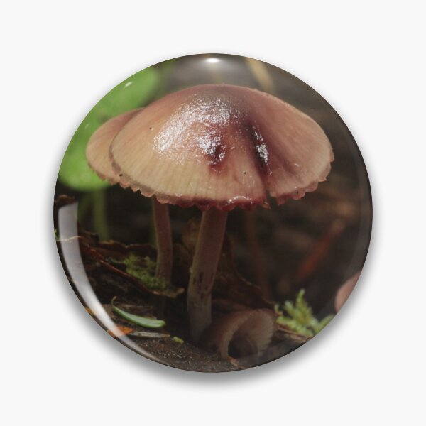 Item preview, Bleeding Mycena Mushrooms designed and sold by WolfNoodles.