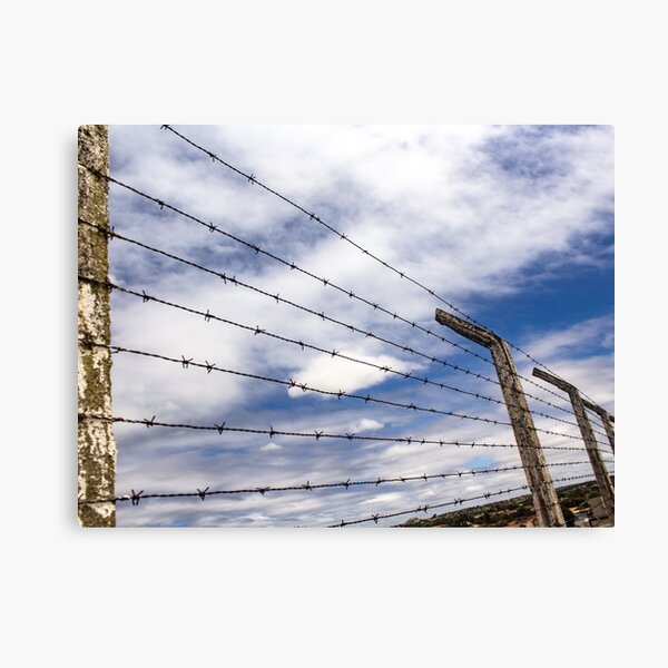 Item preview, barbed wires designed and sold by felipequeiroz.