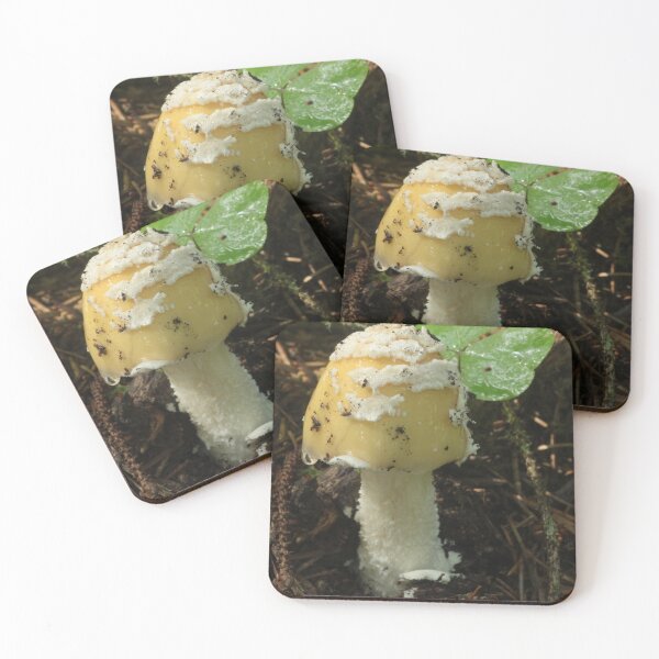 Item preview, Young Amanita with Scales and Wood Sorrel designed and sold by WolfNoodles.