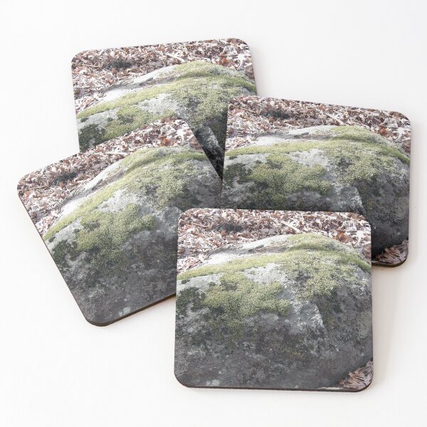 Item preview, Boulder with Moss and Lichens designed and sold by gistinker.