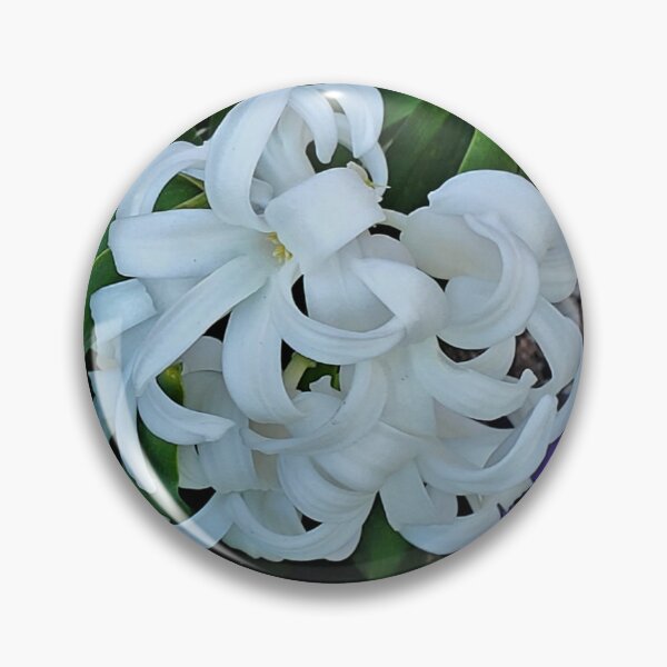Item preview, Floral - White Classic Hyacinth by Wagonesta  designed and sold by Wagonesta.