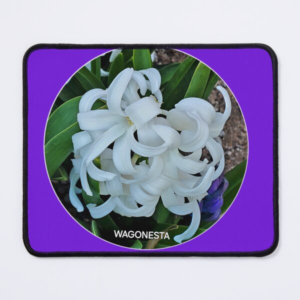 Item preview, Floral - White Classic Hyacinth by Wagonesta designed and sold by Wagonesta.