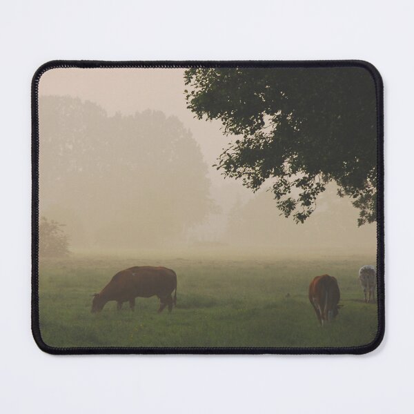 Item preview, Misty morning cows at Groeneveld designed and sold by jchanders.