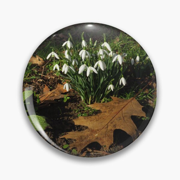 Item preview, A Clump of Snowdrops designed and sold by wiggyofipswich.