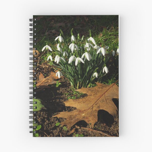 Item preview, A Clump of Snowdrops designed and sold by wiggyofipswich.