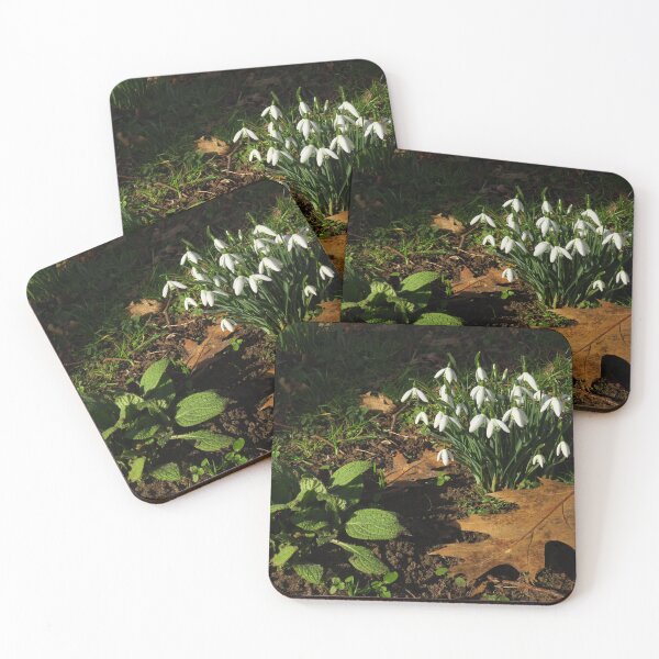 Item preview, A Clump of Snowdrops designed and sold by wiggyofipswich.