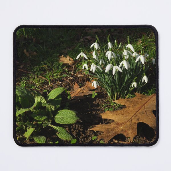 Item preview, A Clump of Snowdrops designed and sold by wiggyofipswich.