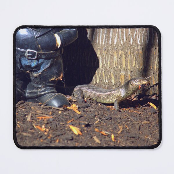 Item preview, Pet King Skink Australia 3. Skink In Our Garden designed and sold by WallsOfFameAust.