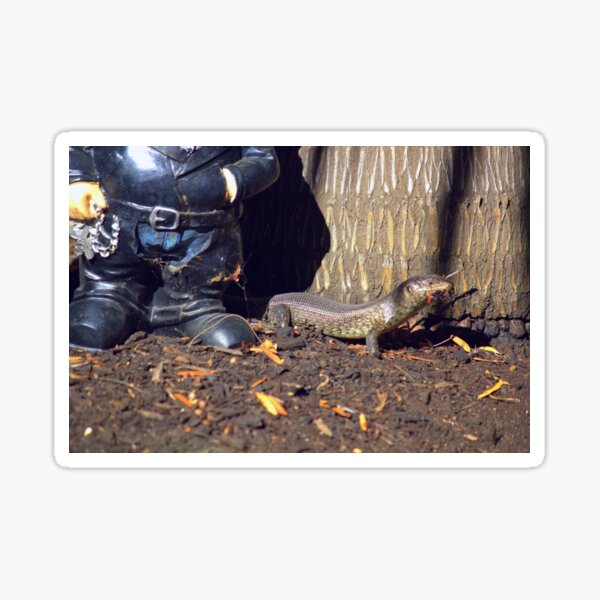 Item preview, Pet King Skink Australia 3. Skink In Our Garden designed and sold by WallsOfFameAust.