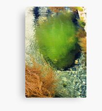 Sea Shrubs Canvas Print