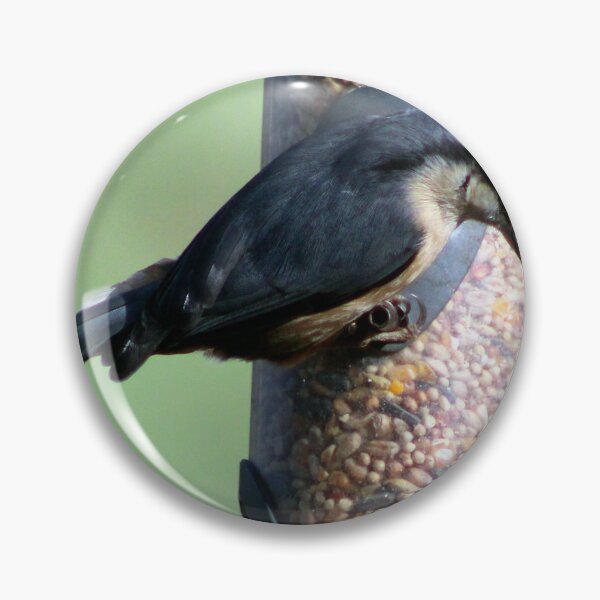 Item preview, nuthatch designed and sold by KathleenDawson.