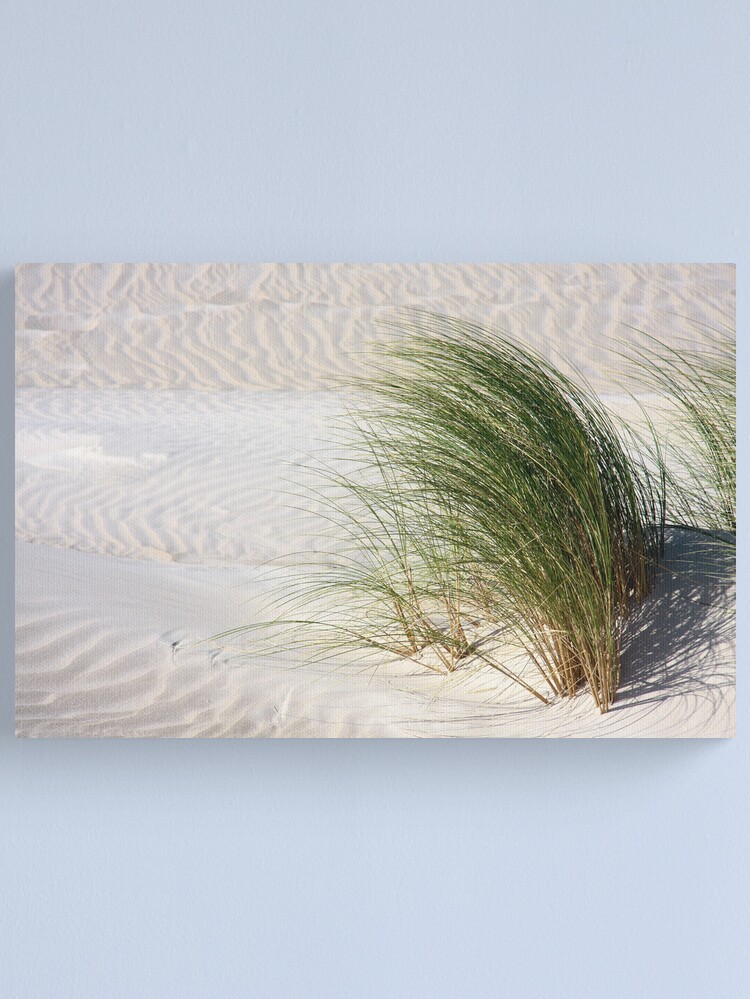 Alternate view of Blowing in the wind Canvas Print