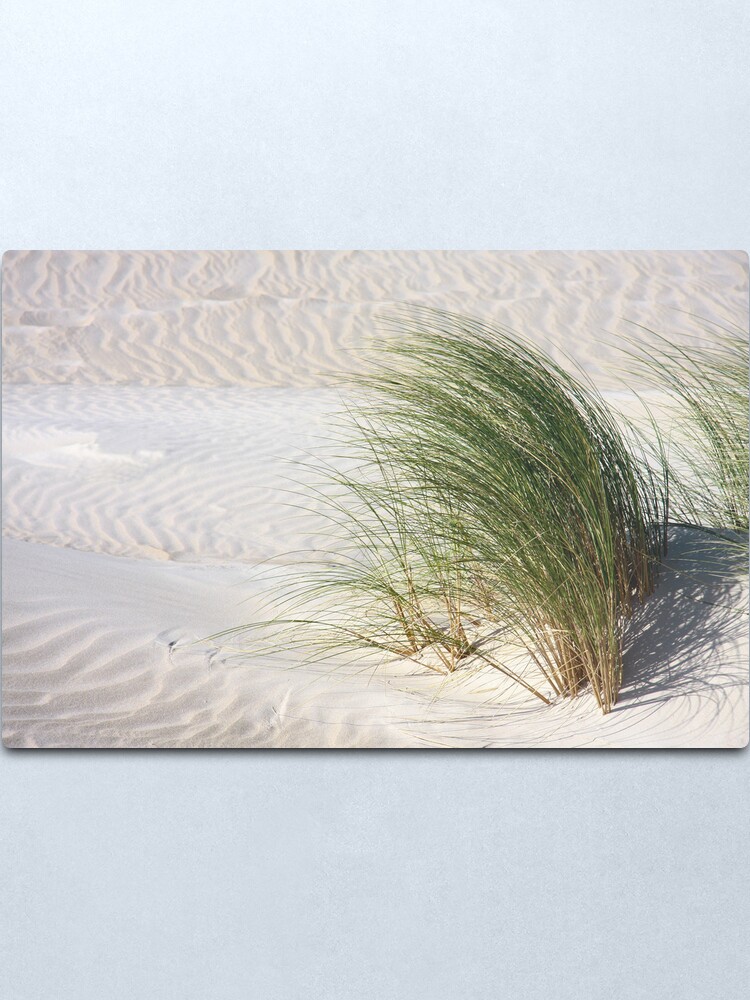 Alternate view of Blowing in the wind Metal Print