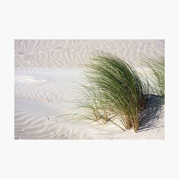 Blowing in the wind Photographic Print
