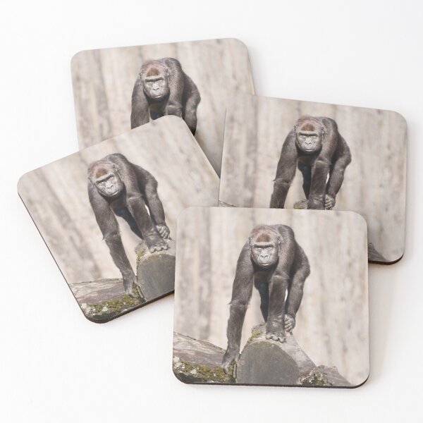 Item preview, Inquisitive Young Gorilla  designed and sold by rawshutterbug.