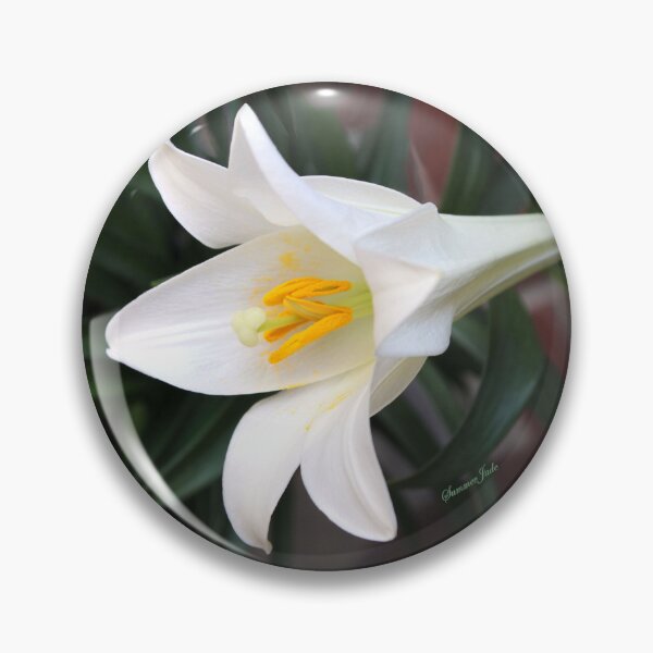 Item preview, The Easter Lily ~ a Biblical Flower designed and sold by SummerJade.