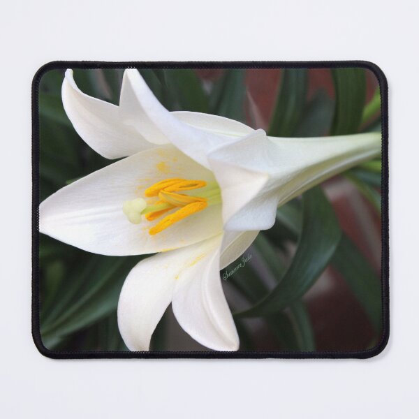 Item preview, The Easter Lily ~ a Biblical Flower designed and sold by SummerJade.