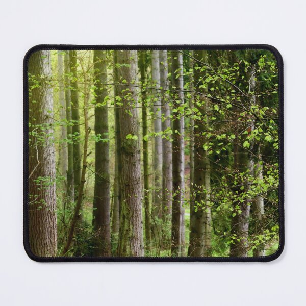 Item preview, Fairytale forest designed and sold by The Prints Store.