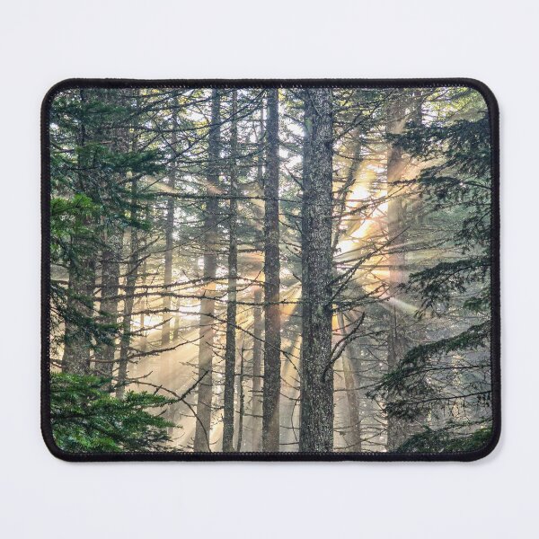 Item preview, Sunlight bursting through designed and sold by Nature at its finest.