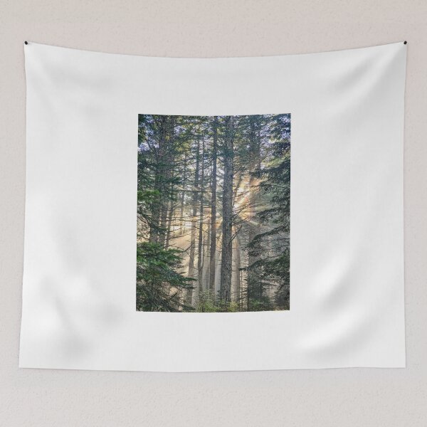 Item preview, Sunlight bursting through designed and sold by Nature at its finest.
